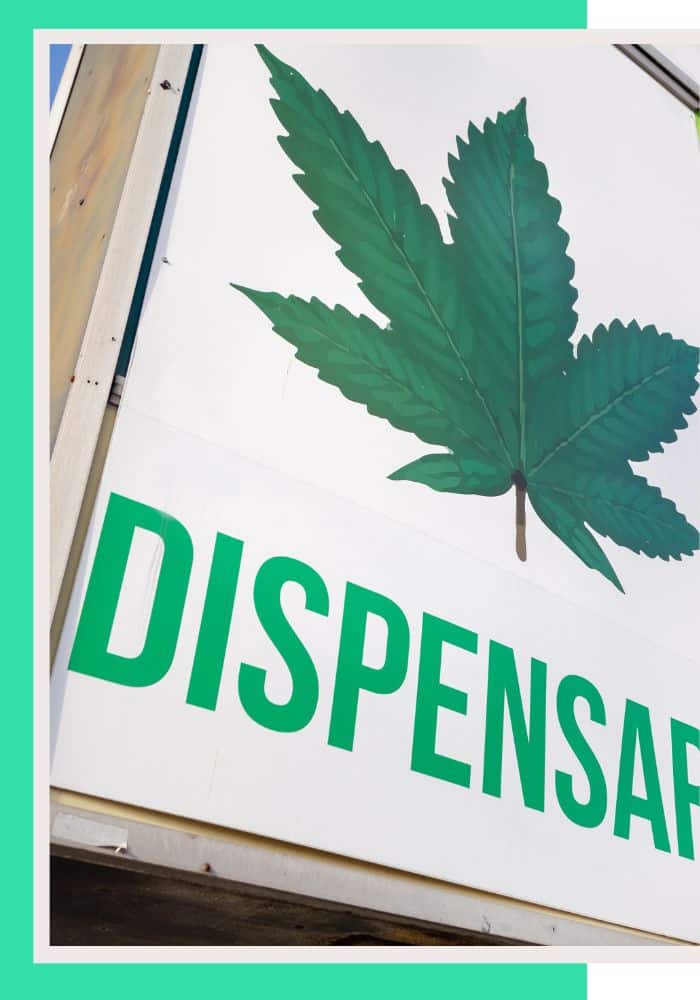 Comprehensive HR Solutions for the Cannabis Industry