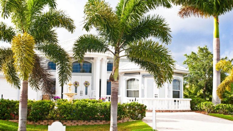 Vacation Club