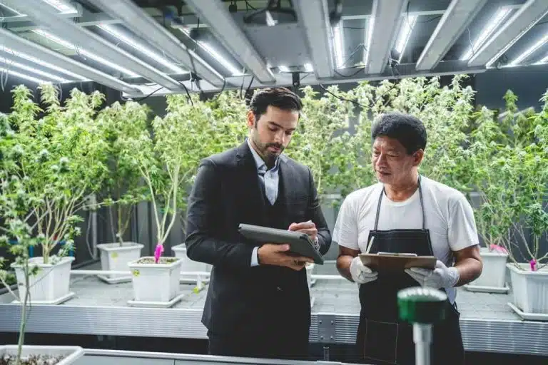 Navigate Regulations and Simplify Cannabis HR Compliance