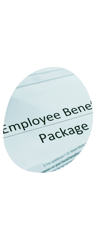 Small Business Employee Benefits to Access Big Company Plans​