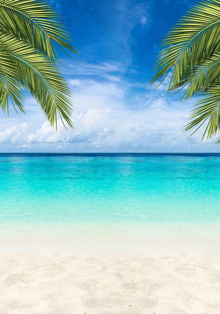 Paid Time Off Policy​